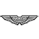 Aston Martin F1 Team logo